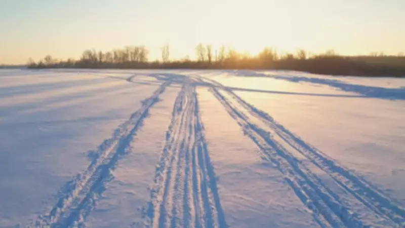 Teenager Critically Injured in Wellington County Snowmobile Collision