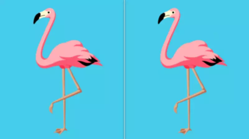 The Flamingo Sleep Position: What It Says About Your Health and Comfort