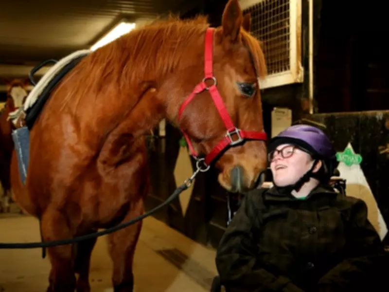 Therapeutic Riding Transforms Lives in Greely Through Equine-Assisted Programs