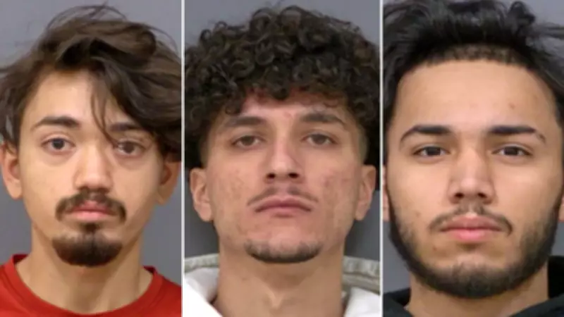 Three Men and One Youth Arrested in GTA Human Trafficking Case Involving Female Youths