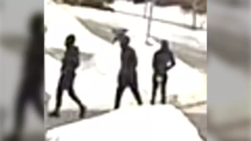 Three Suspects Sought Following Violent Home Invasion in Bradford