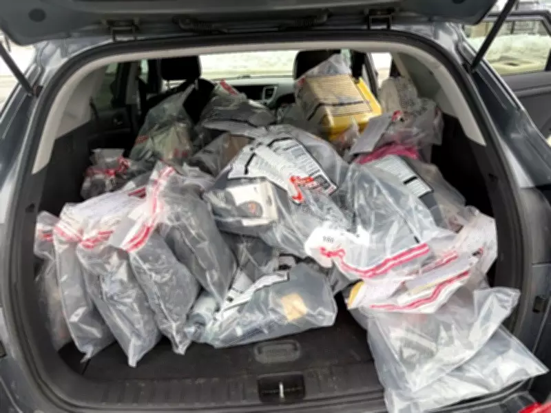 Three Youths Face Nearly 200 Charges in Mississauga Break-In Spree