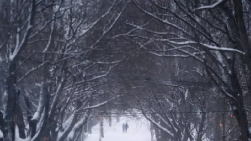Thundersnow Strikes Nova Scotia as Major Winter Storm Approaches Maritimes