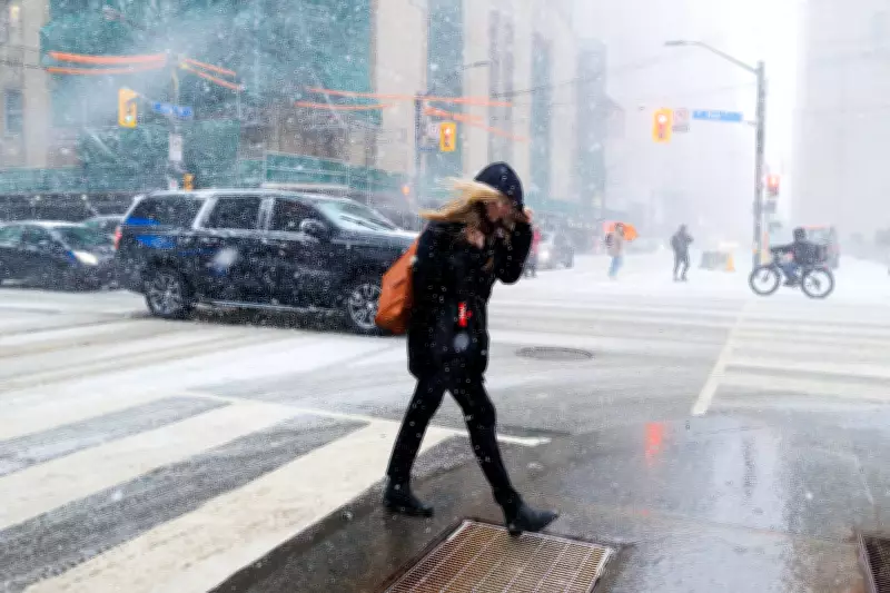 Toronto Braces for Strong Winds and a Sharp Temperature Drop This Friday