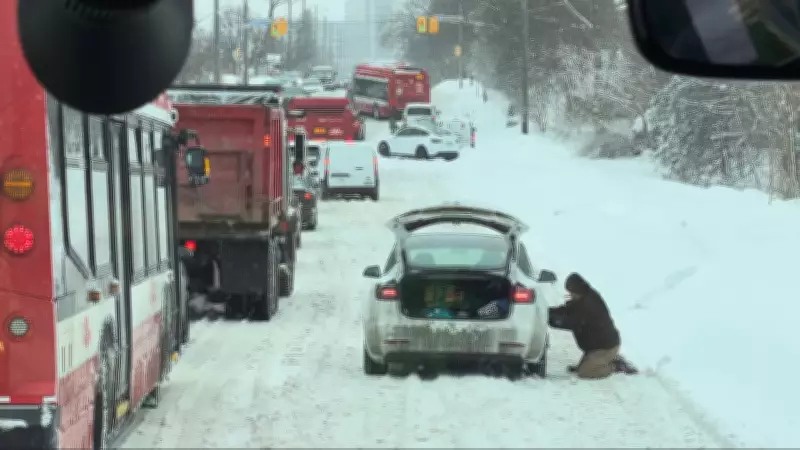 Toronto's Freezing Drizzle Advisory Follows Lifted Winter Storm Warning