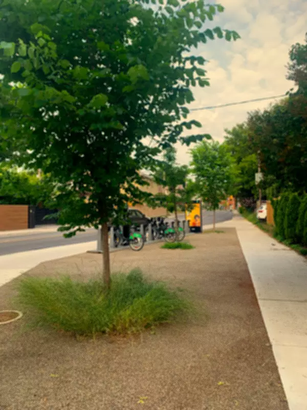 Toronto's Green Streets Program Enhances Pedestrian Safety Year-Round