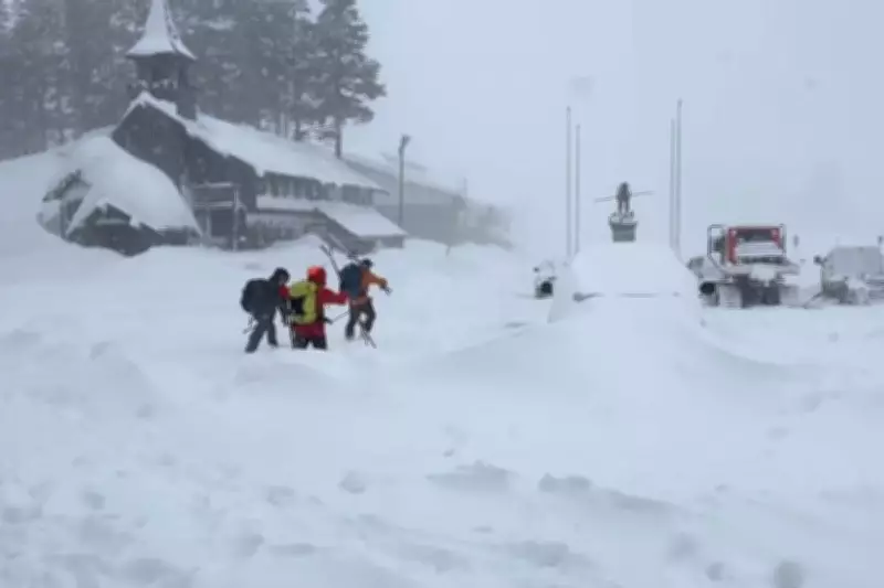 Tragic Avalanche in California Claims Eight Skiers, One Still Missing