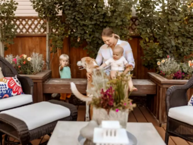 Transform Your Backyard into a Wellness and Entertainment Oasis with Expert Tips