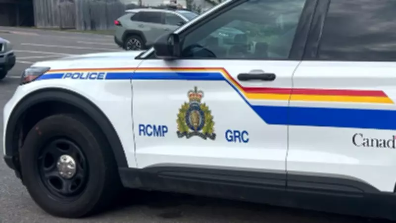 Two Dead in Northern New Brunswick Snowmobile Collision, RCMP Investigates
