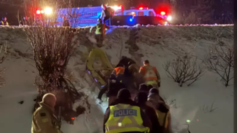 Two Men Rescued from Snowy Swamp in Barrie, Then Arrested by Police
