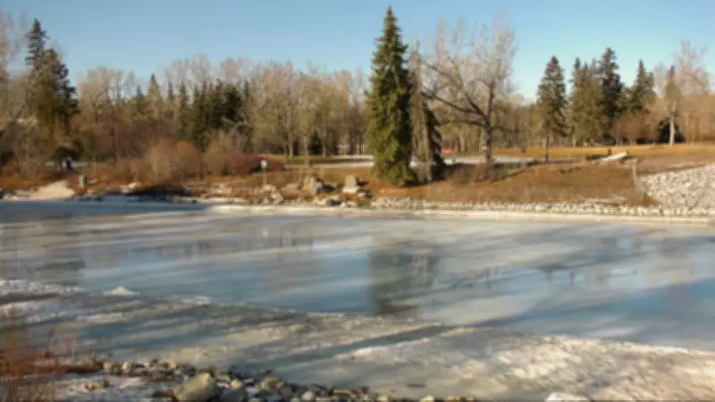 Unseasonable Warmth Disrupts Calgary Winter Events and Raises Environmental Concerns