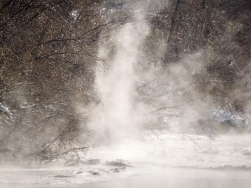 Urban Winter Exploration: Finding Beauty in Calgary's Snowstorm