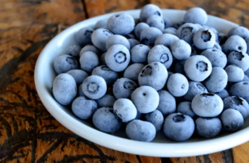 U.S. FDA Issues Recall for Frozen Blueberries in Canada Over Listeria Concerns