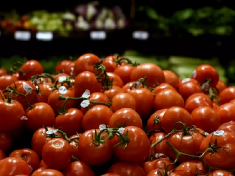 U.S. Supreme Court Tariff Ruling Creates New Trade Uncertainty for Canada