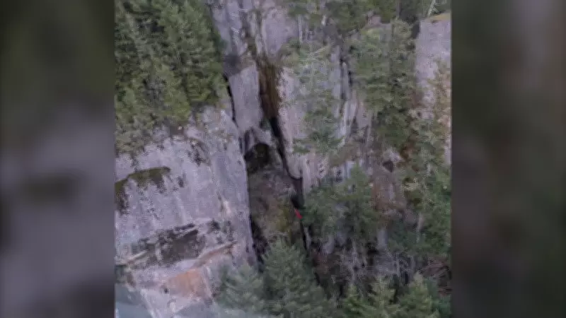 Vancouver Hiker Praised for Saving Paraglider's Life After Mount Prevost Crash