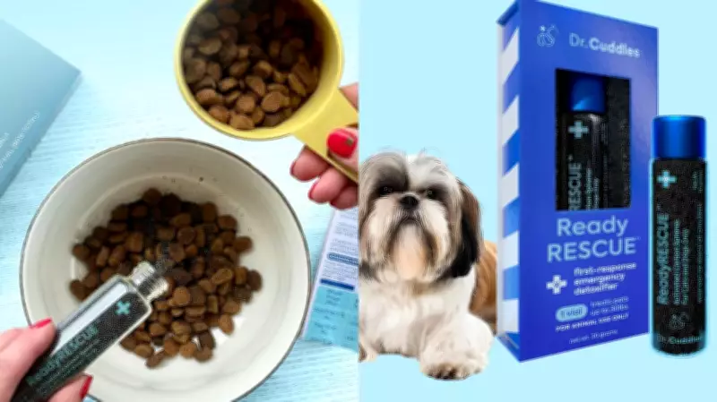 Veterinarian Recommends Activated Charcoal for Pet Poisoning Emergencies