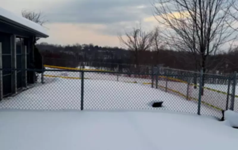 Volunteers Sought to Clear Snow at Ontario SPCA Dog Park After Heavy Winter Storm