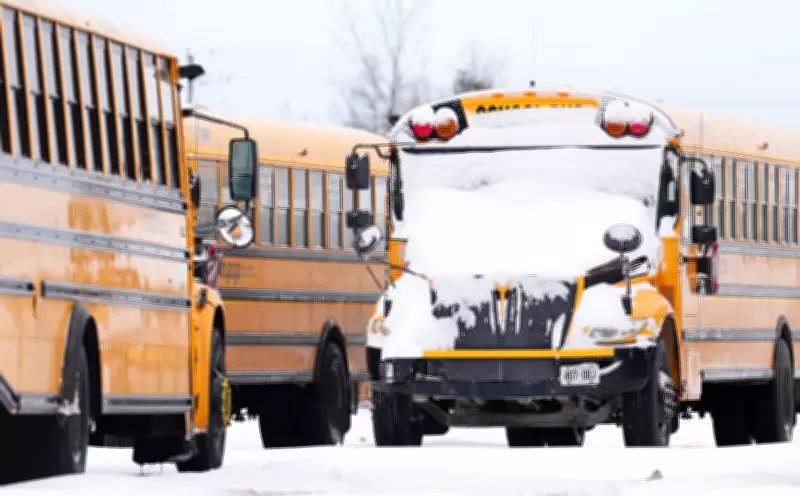 Widespread School Bus Cancellations and Closures Announced for Wednesday Across Barrie Region