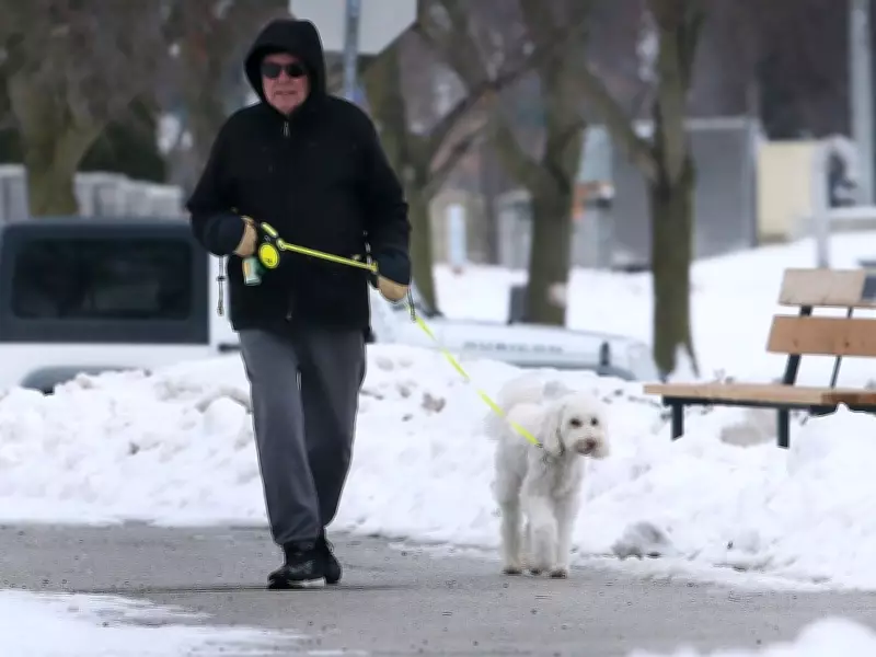 Windsor Achieves Global Environmental Recognition for Third Consecutive Year