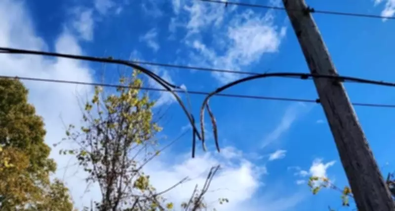 Windsor Councillor Agostino Advocates for Stricter Regulations to Combat Copper Theft