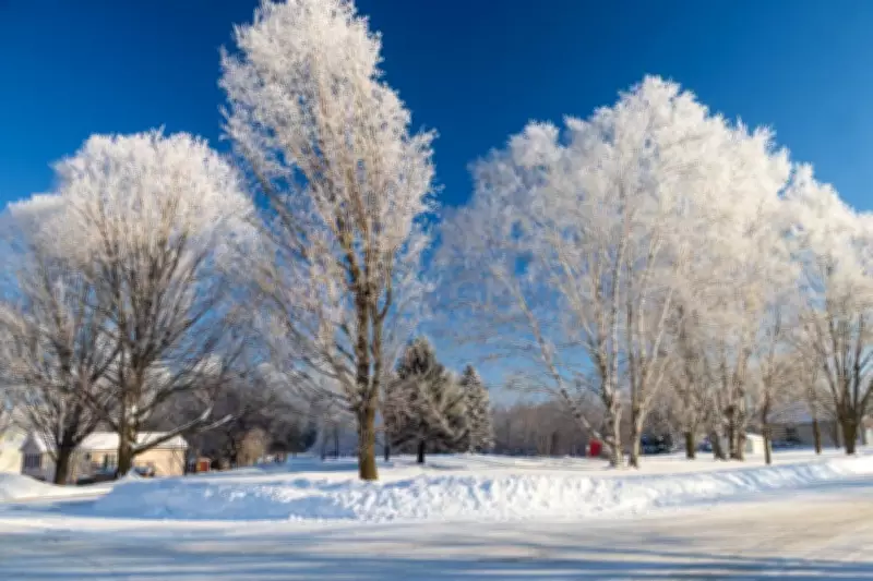 Windsor-Essex Endures Deep Freeze as Snowfall Subsides