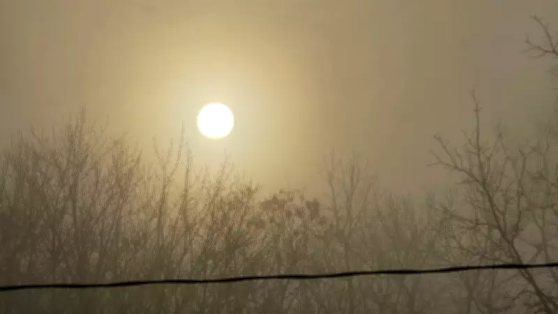 Windsor Faces Gusty Winds and Intermittent Snow Flurries Throughout the Weekend