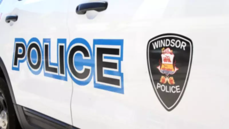 Windsor Police Apprehend Suspect During Active Break-In Attempt