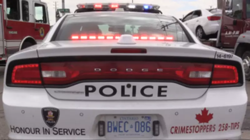 Windsor Police Lay Charges After Assault, Collisions, and Police Pursuit
