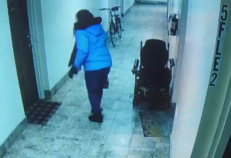 Windsor Police Seek Public Help in Bicycle Theft Investigation