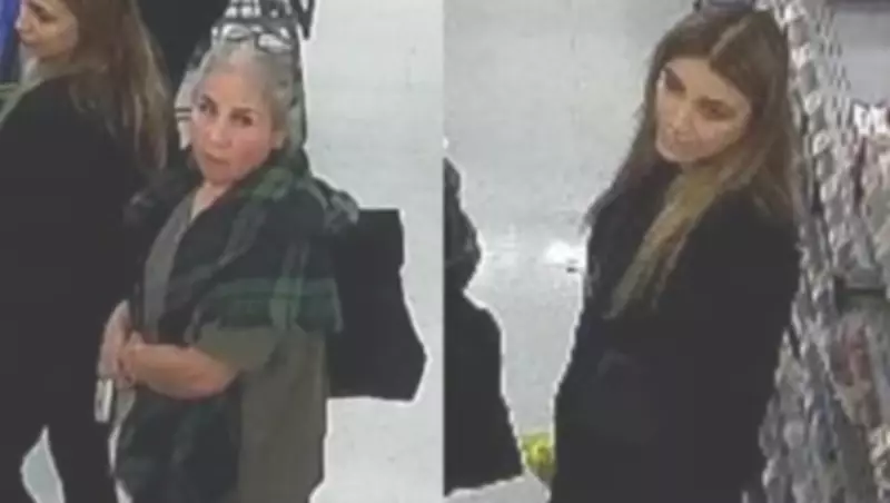 Windsor Police Seek Six Suspects in Series of Retail Theft Incidents