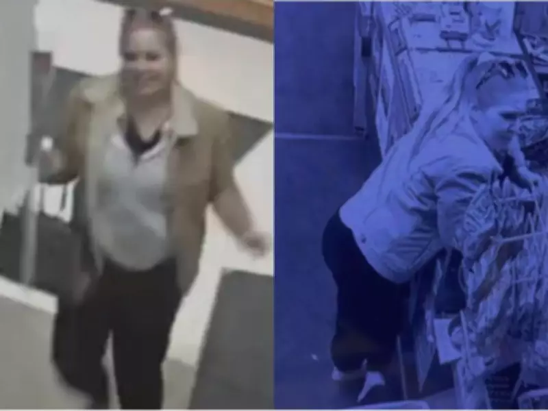 Windsor Police Seek Suspect After Counterfeit $100 Bills Surface in Amherstburg