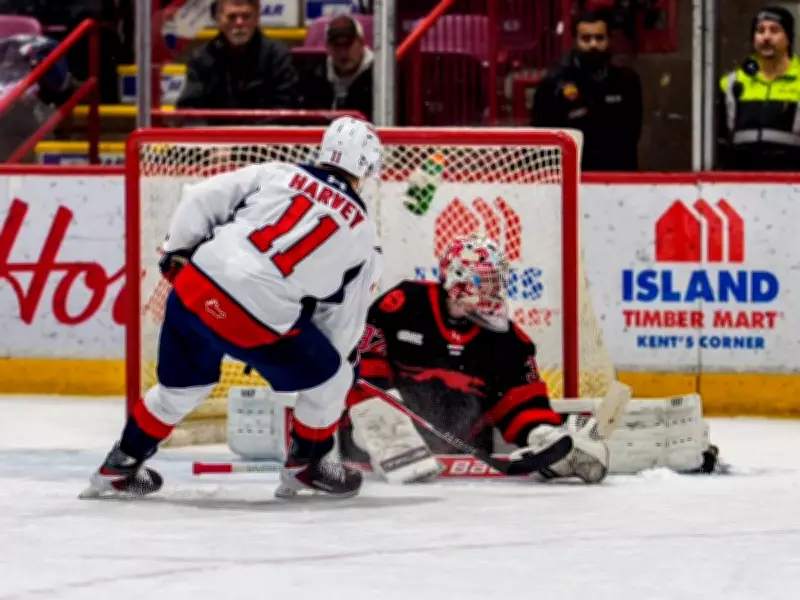 Windsor Spitfires Maintain Perspective After Earning Three Points on Northern Road Trip
