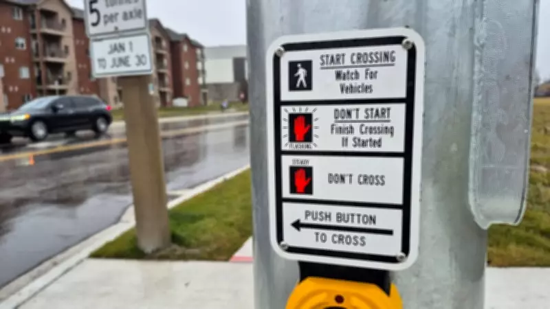 Windsor to Install Signalized Pedestrian Crosswalk on Dougall Avenue