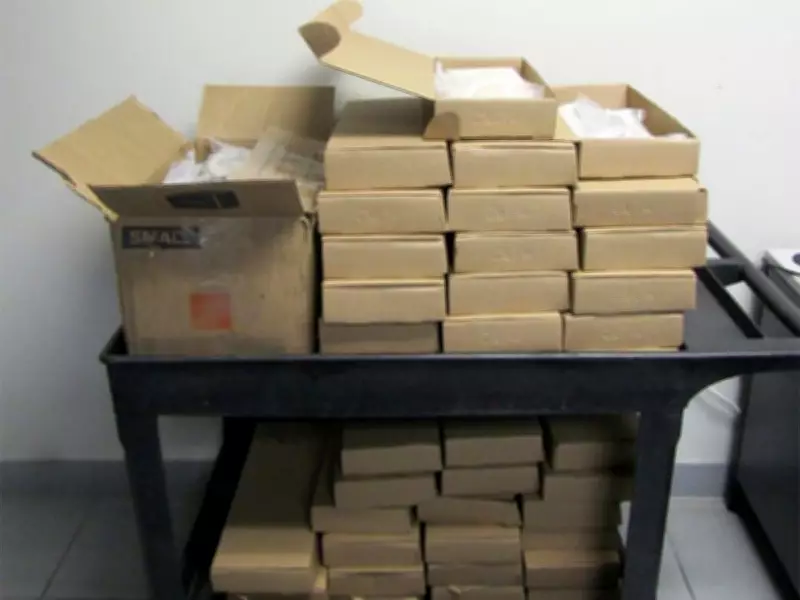 Windsor Trucker Sentenced to 10 Years for Massive Cocaine Importation at Ambassador Bridge