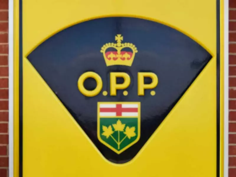 Windsor Woman Faces Multiple OPP Charges After Tecumseh Road Collision