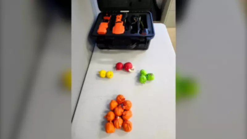 Winnipeg and Calgary Man Faces Charges After Drone Drug Delivery to Manitoba Prison