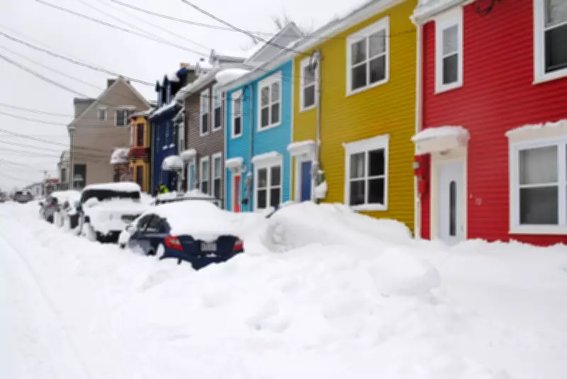 Winter Storm Blankets Eastern Newfoundland with 50 cm of Snow, More Expected