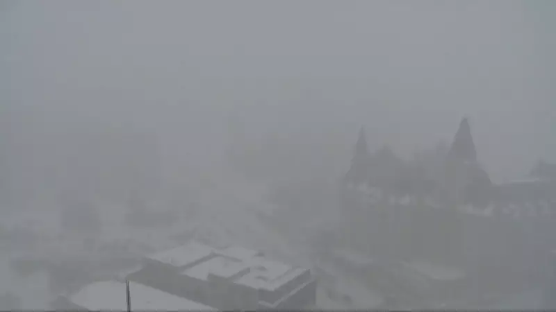 Winter Storm Hits Ottawa: Up to 12 cm of Snow Expected, Commuters Warned