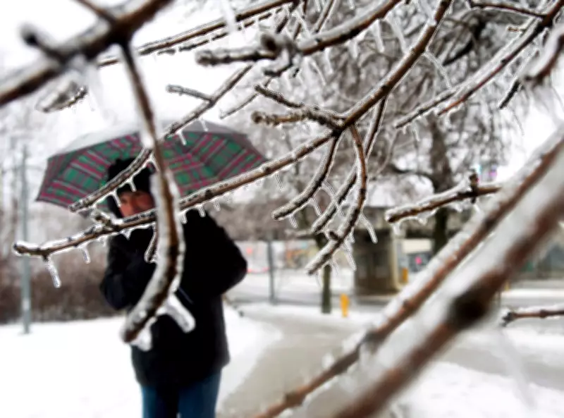 Winter Storm Warning Issued for Toronto and GTA with Snow and Freezing Rain Forecast