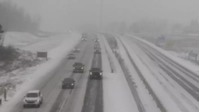Winter Storm Warning: Up to 15 cm of Snow, Ice Pellets, and Freezing Rain to Disrupt Commutes