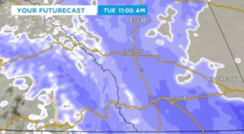 Winter's Sudden Comeback: Calgary Braces for 20 cm Snow and -20°C Chill