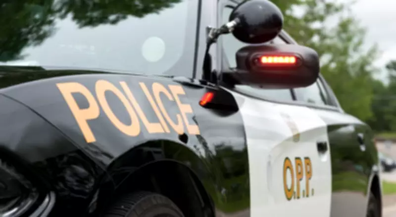 Woman Dies in Eastern Ontario Snowmobile Crash, OPP Investigating