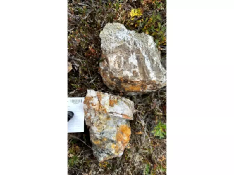 Yukon Metals Discovers High-Grade Gold Up to 250 G/T at Carter Gulch