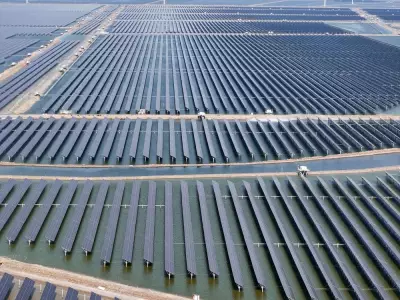 B.C. Climate Update: Solar Project Advances, Orca Calf Born Amid Environmental Shifts