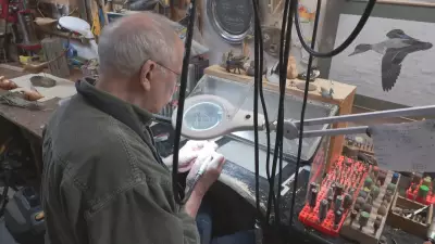 Manitoba Wildlife Advocates Oppose Proposed Swan and Dove Hunting Seasons