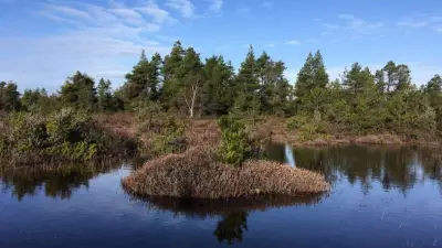 Plane Crash in Delta's Burns Bog Sends One to Hospital Amid Regional News