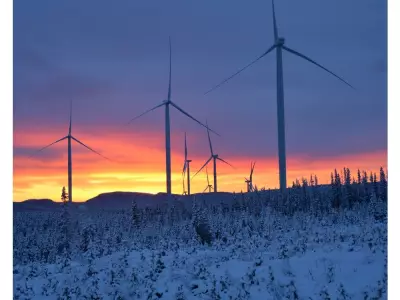 Renewable Energy Hits Record High Despite Political Opposition, Parks Generate Billions