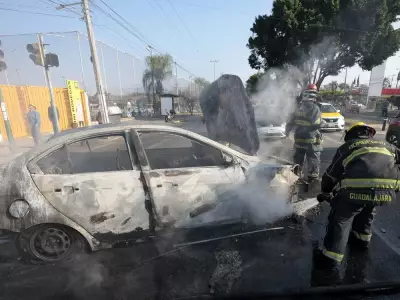 Saskatchewan Writer Reflects on Peace Amid Mexico's Lockdown Reality