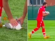 Amateur Soccer Player Performs CPR on Seagull During Match in Turkiye