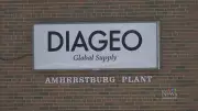 Amherstburg Mayor Criticizes $23M Diageo Deal with Province as Ineffective for Town
